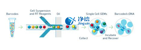 中國人自己的微流控單細(xì)胞測(cè)序儀來了！_微流控Drop-seq,微流控技術(shù)
